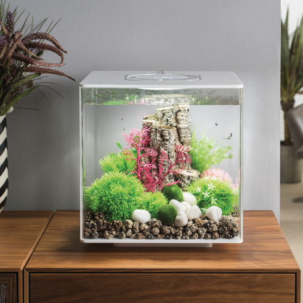 biOrb LED Square Aquarium Tank Wayfair
